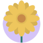 Blossom 1.17.1 Markdown云端写作编辑WPS2023办公软件-苹果软件-mac软件,-汉化软件-汉化补丁-注册机-激活码-激活工具-软件-补丁-软件分享-去广告软件-软件版下载-软件安装-精品mac应用wps办公软件