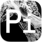 Arturia Piano V 3.3.3.6106 钢琴模拟合成器插件WPS2023办公软件-苹果软件-mac软件,-汉化软件-汉化补丁-注册机-激活码-激活工具-软件-补丁-软件分享-去广告软件-软件版下载-软件安装-精品mac应用wps办公软件