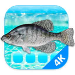 Aquarium 4K 1.1.0 MAS 4K高清屏保WPS2023办公软件-苹果软件-mac软件,-汉化软件-汉化补丁-注册机-激活码-激活工具-软件-补丁-软件分享-去广告软件-软件版下载-软件安装-精品mac应用wps办公软件