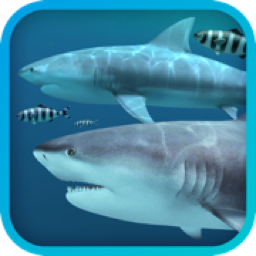 Sharks 3D 2.1.1 MAS 3D海底鲨鱼动态壁纸WPS2023办公软件-苹果软件-mac软件,-汉化软件-汉化补丁-注册机-激活码-激活工具-软件-补丁-软件分享-去广告软件-软件版下载-软件安装-精品mac应用wps办公软件