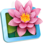 LilyView 1.6 MAS 无边框图片浏览器WPS2023办公软件-苹果软件-mac软件,-汉化软件-汉化补丁-注册机-激活码-激活工具-软件-补丁-软件分享-去广告软件-软件版下载-软件安装-精品mac应用wps办公软件