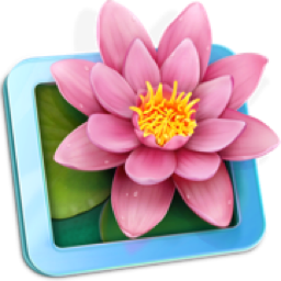 LilyView 1.6 MAS 无边框图片浏览器WPS2023办公软件-苹果软件-mac软件,-汉化软件-汉化补丁-注册机-激活码-激活工具-软件-补丁-软件分享-去广告软件-软件版下载-软件安装-精品mac应用wps办公软件